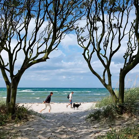 Kaltenhofer Strandmuschel *